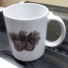 Кликните для увеличения изображения